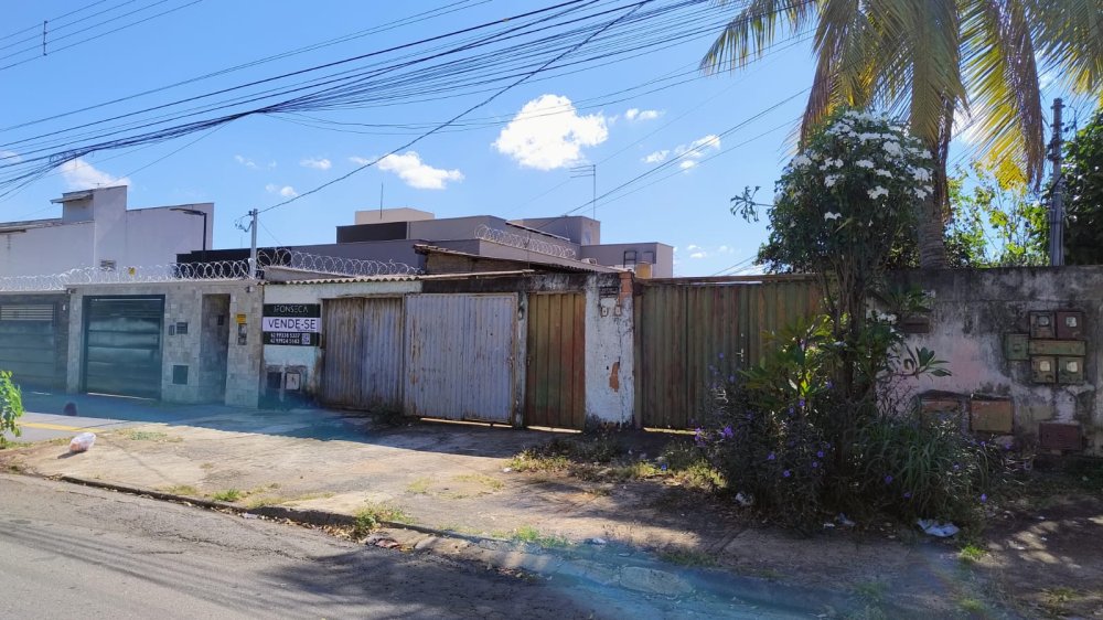 Lote - Venda - Jardim Amrica - Goinia - GO